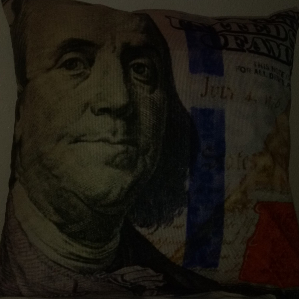 New Money Pillow Case